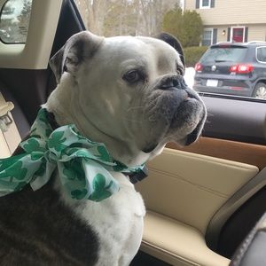 Meet your Posher, Christine